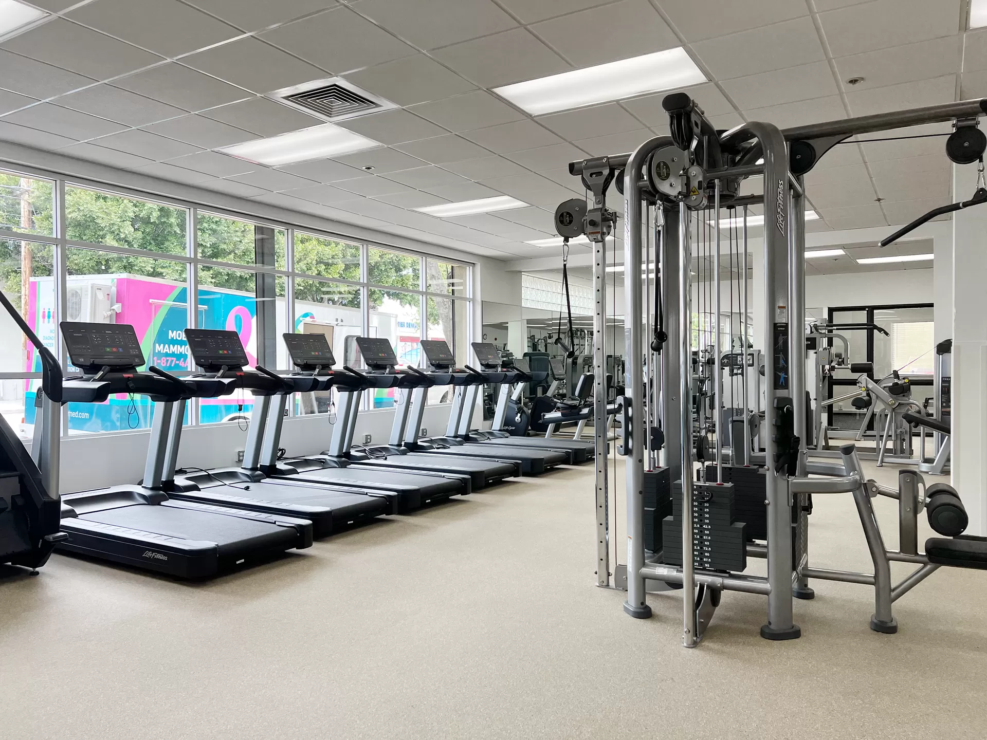 Wela Cardio & Weight Equipment